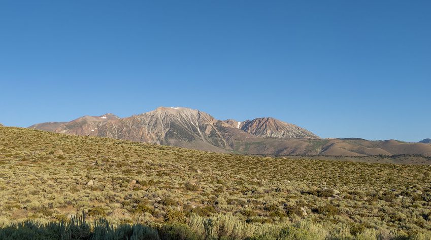 A photograph of Photograph of the Mono–Inyo Craters, a seriers of volcanic domes and craters
